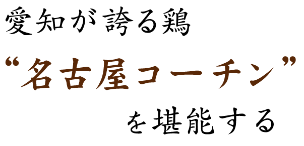 愛知が誇る鶏“名古屋コーチン”を堪能する