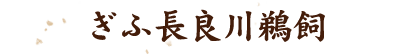 ぎふ長良川鵜飼