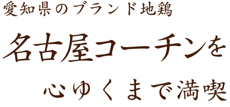 名古屋コーチン