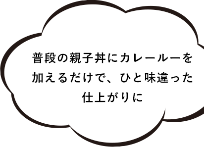 普段の親子丼にカレールーを