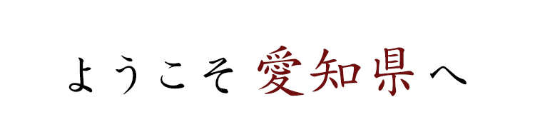 ようこそ愛知県へ