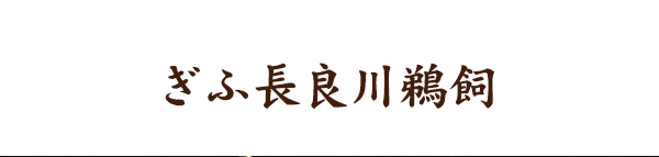 ぎふ長良川鵜飼